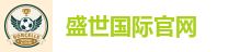 盛世国际